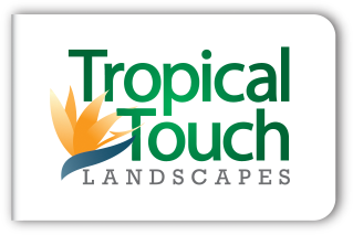 Tropical Touch